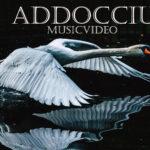 charlys-music Track Addocciu